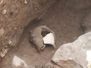 photo Credit: Courtesy of Israel Antiquities Authority/ Description: The discovery of jar sherds that yielded remains of olive oil in Zippori. 