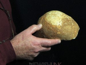 Photos credit: Israel Antiquties Authority Photo number 1: The skull 